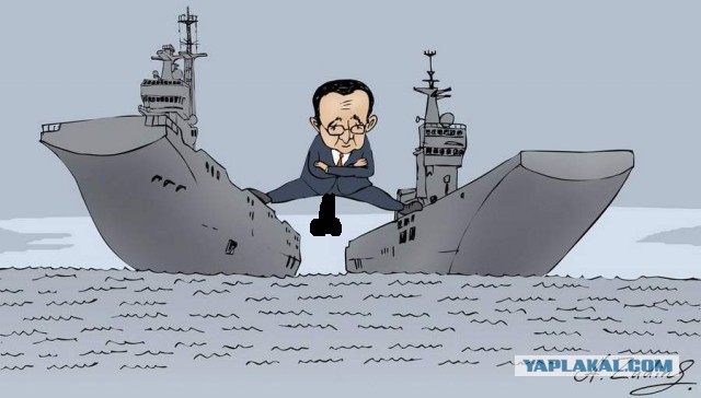 «Бездонный колодец глупости»