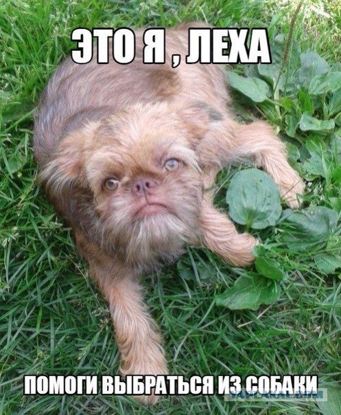 Чудики из социальных сетей 17.12.15