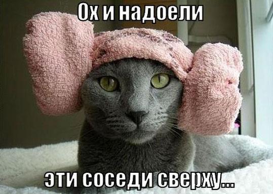 Разные картинки