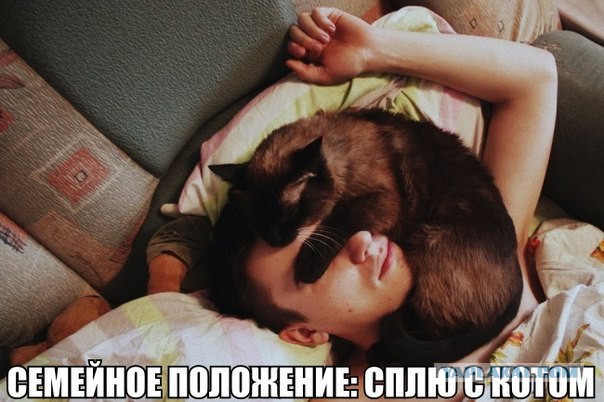 Веселые картинки
