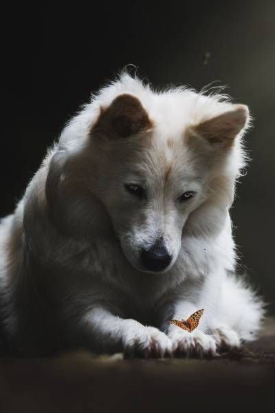 Подборка интересных и веселых фото