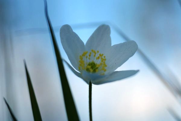 Интересные и веселые картинки