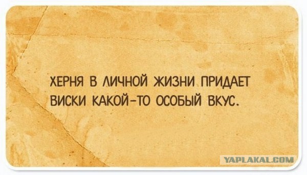 Интересные и веселые картинки