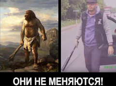 Рэпер-обочечник с битой напал на машину
