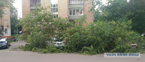 Сильная гроза в Москве и ее последствия