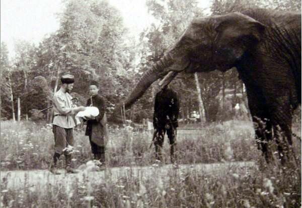 По XX веку с фотоаппаратом