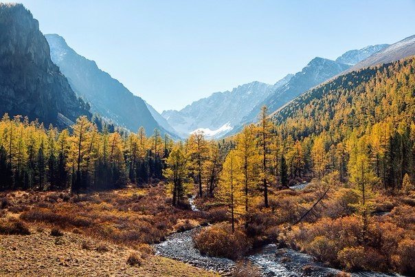 Картинки для отдыха глаз