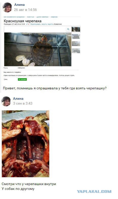 Живодерки из Хабаровска