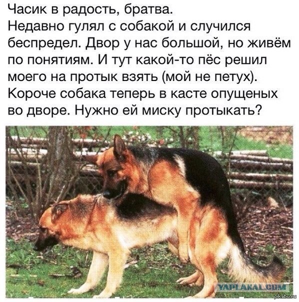 Вопрос к заключённым нынешним и бывшим