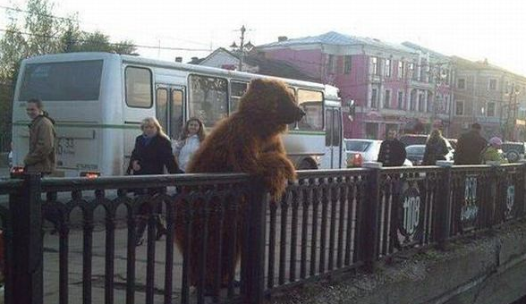 А все остальные страны нам завидуют!