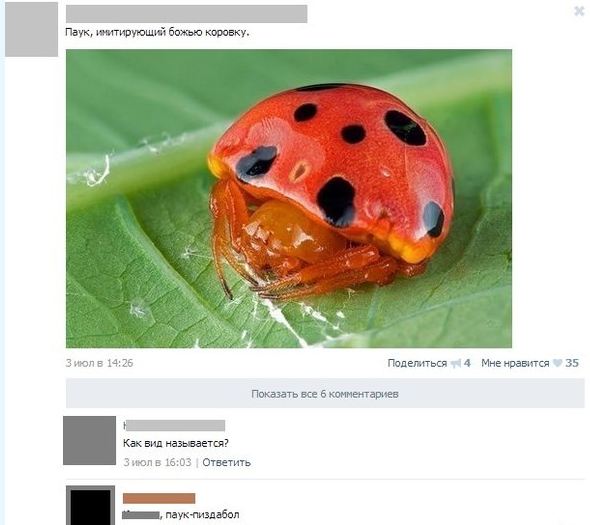 Подборка разного из сети