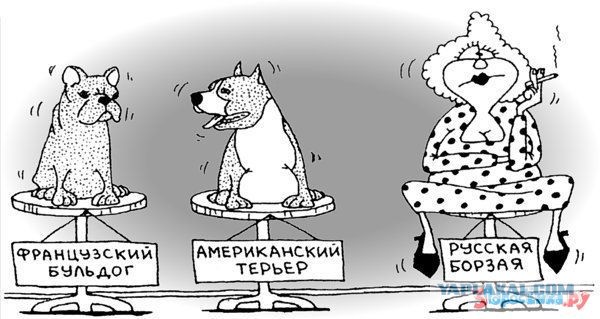 ТП в естественной среде обитания.