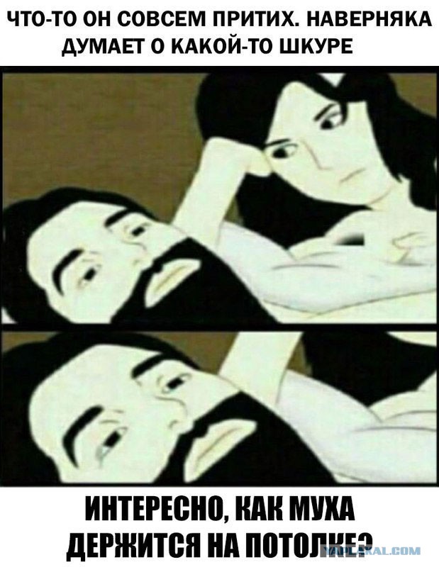 Смешные и не очень картинки из этих ваших интернетов