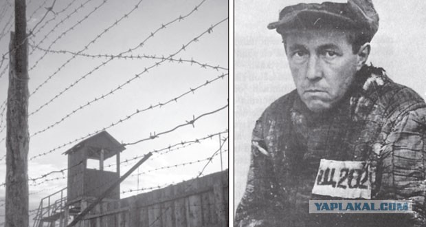 Социализм vs Капитализм: краткие итоги первых 40 лет противостояния