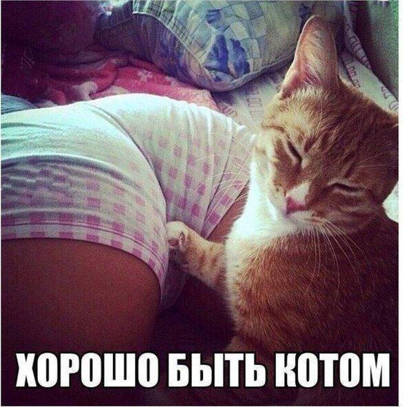 Картинки для поднятия настроения