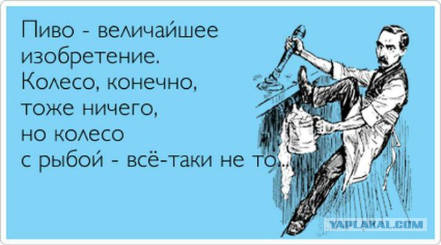 Смешные комментарии из социальных сетей 15.12.2017