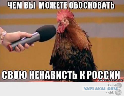 Активистам грозит 7 лет за лозунг об отставке Путина