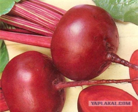 Европейский автокризис