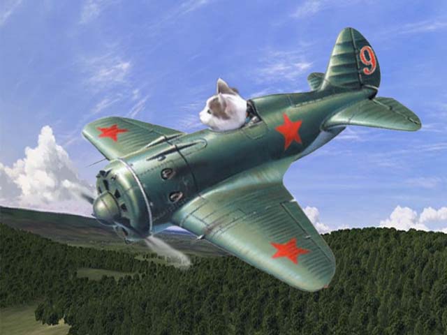 Котопровод