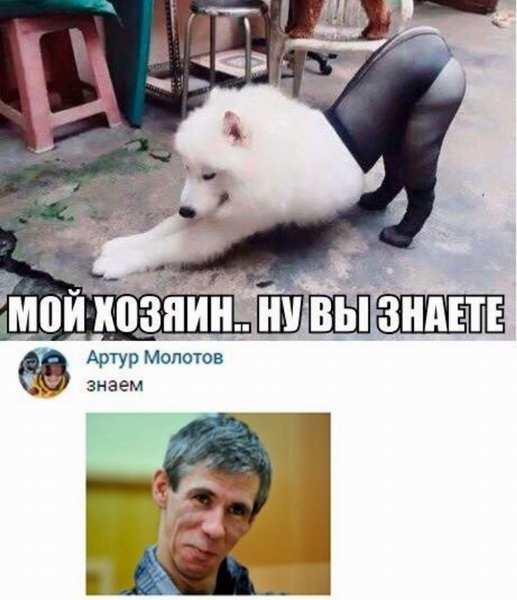 Здорово и вечно