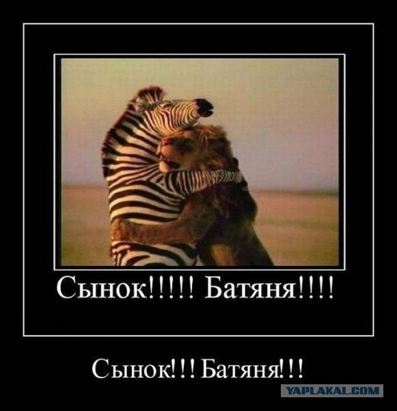 Картинки в черных рамках с подписями