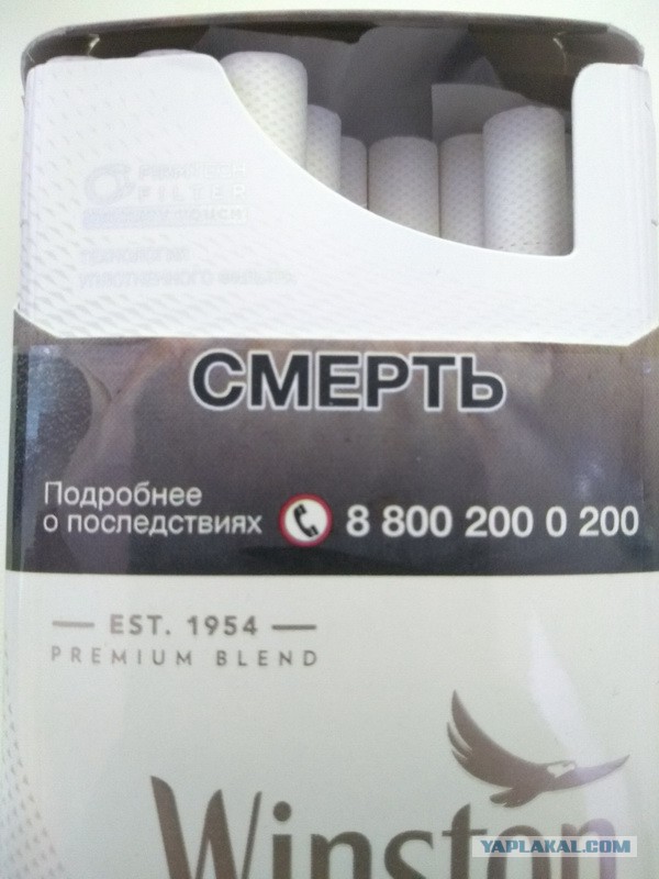 Анекдоты, соц-сети, истории и картинки с надписями