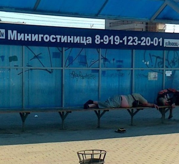 Скотсети и прочие интернеты 05.04.19