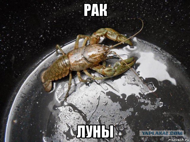 Фотографии, доказывающие, что природа в сто раз круче фотошопа
