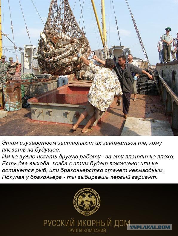 Конкурс на лучшую фотожабу против браконьеров.