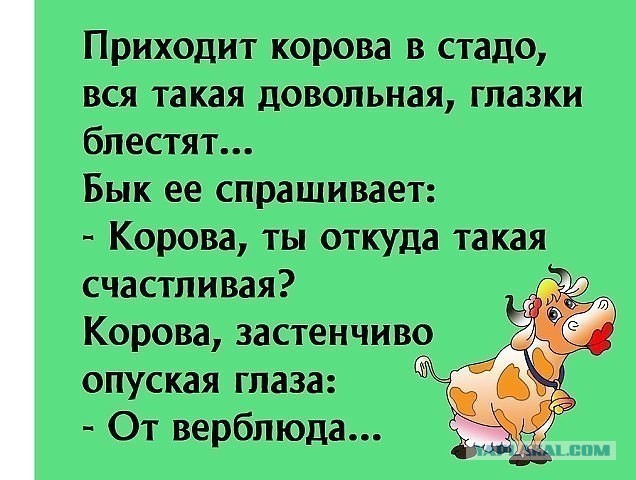 Гражданский брак — это всего лишь иллюзия