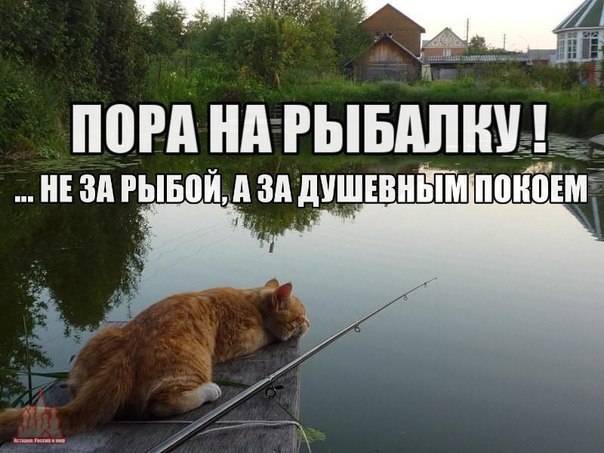 Не хочу больше ходить в кинотеатр