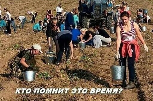 Фото, которые вернут вас прямиком в детство