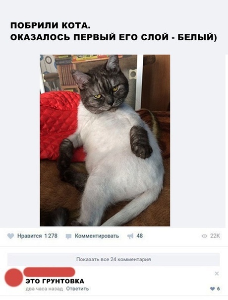Картинки и мемы для настроения 25