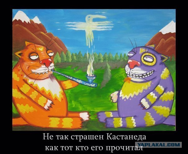 Мы и есть "Боги"