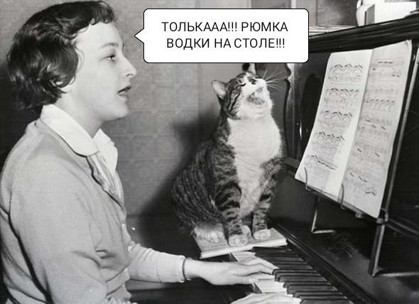Подборка баянов