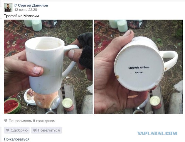 Создателя организации "Русский корпус" Ивана Морозова арестовали в Волгограде