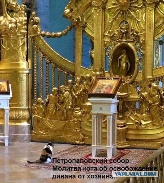 Теряя свою веру