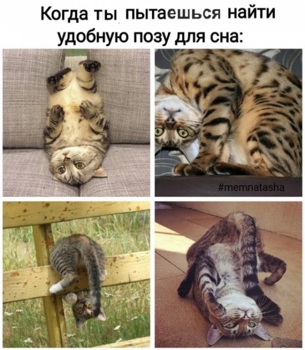 Картинки и мемы для настроения