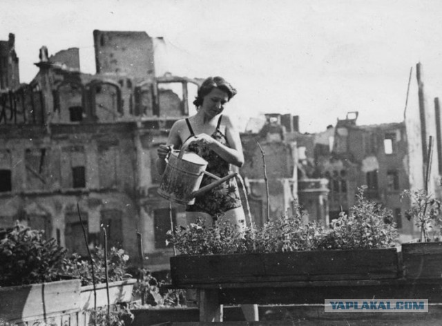 20 пропитанных историей фотографий, глядя на которые хочется отправиться в прошлое