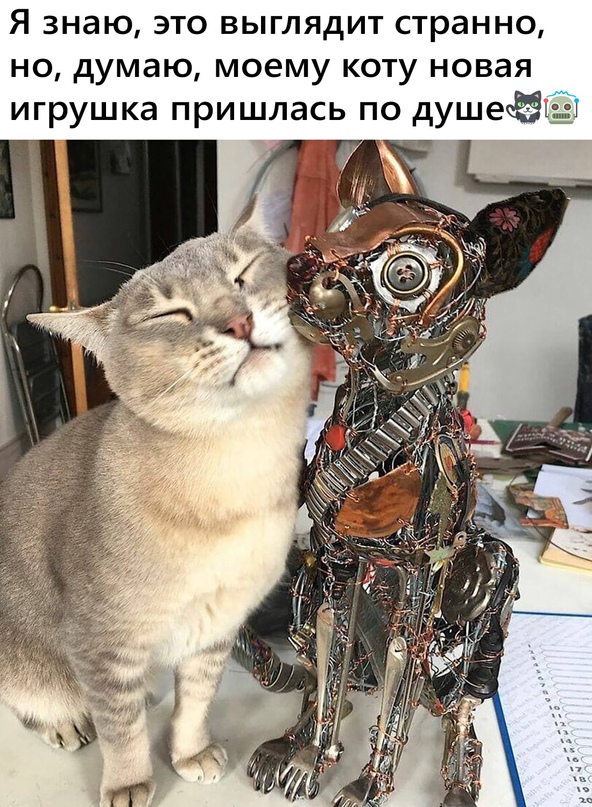 Картинки и мемы для настроения 18.08.2021