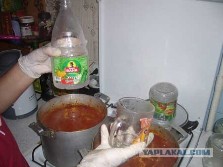 Вся правда о КАБАЧКАХ и ЦУККИНИ