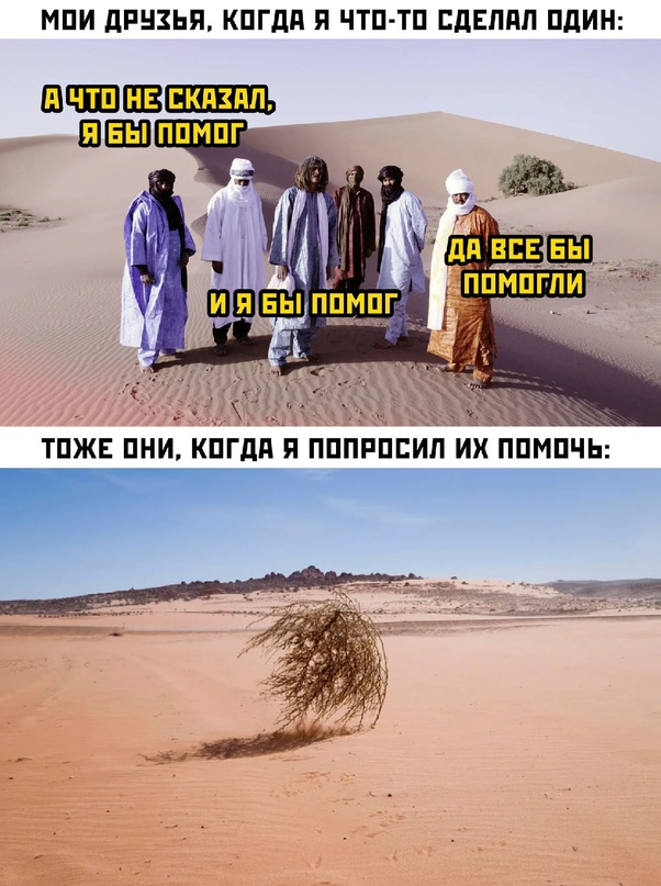 Весёлый полтишок 11.09
