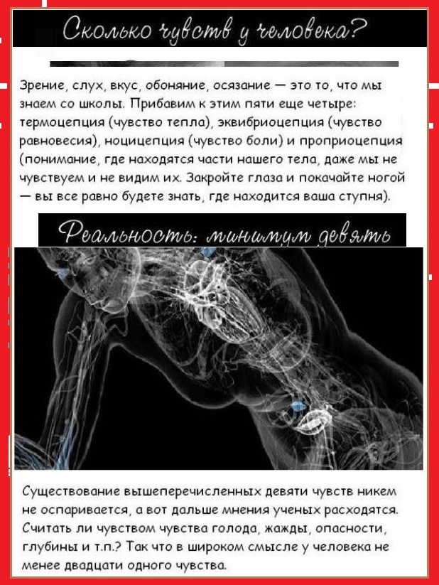 Занимательные факты о разном