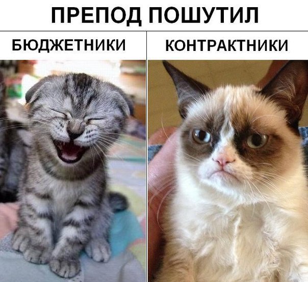 Учитель года!