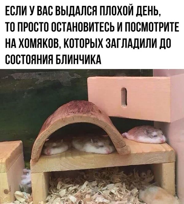 Один шаг и она начнется