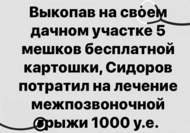 Так себе картинки 19.04.22