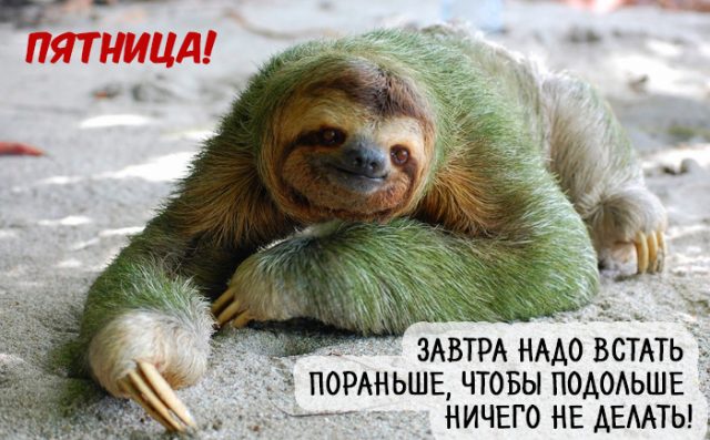 Пятница. Вечер. Картинки всякие... #4