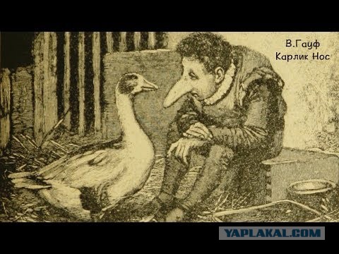 Немного плоского юмора на пятницу
