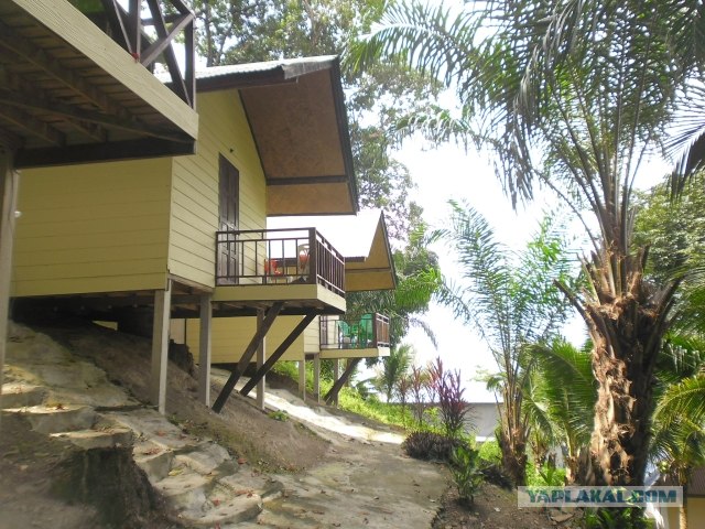 Такой разный остров Самуи