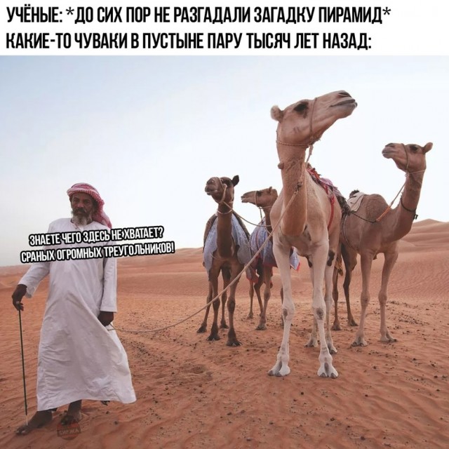 Картинки и мемы, всем хороших выходных